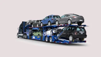International Shifting And Transportation Services in Velachery